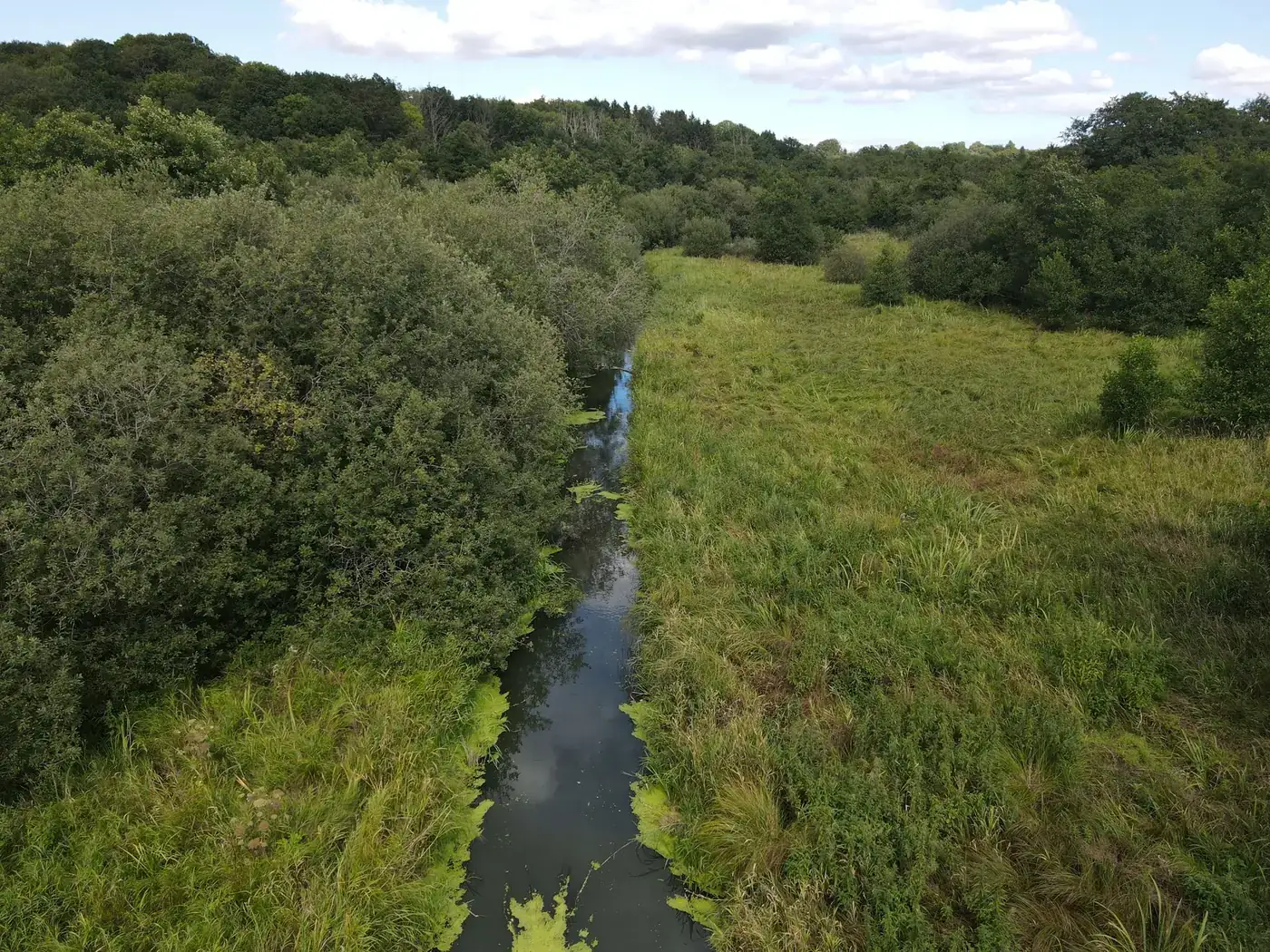 Åbent vandløb mellem træer og eng, set fra drone