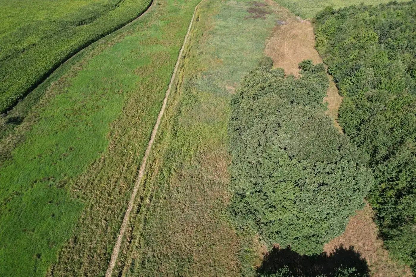 Vandløb gennem græs og bevoksning, set fra drone