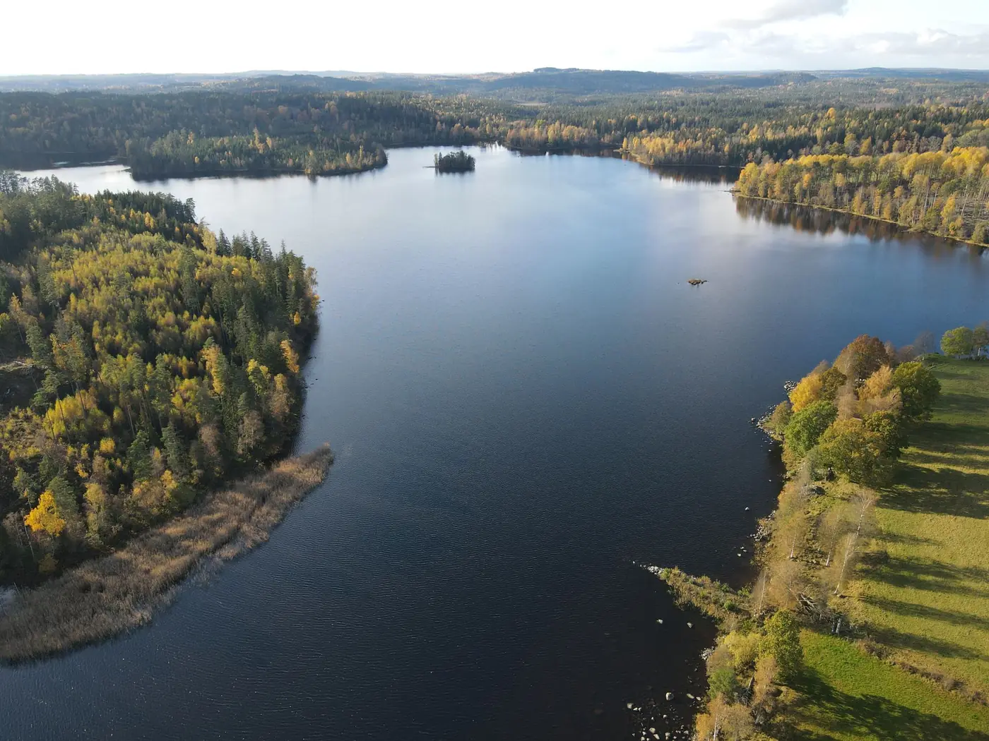 Sø med skov i efterårsfarver, set fra drone
