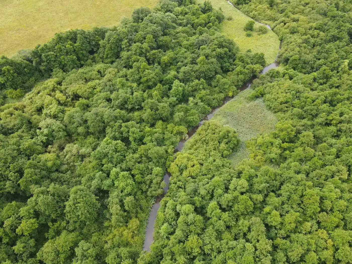 Vandløb gennem skov, set oppefra med drone