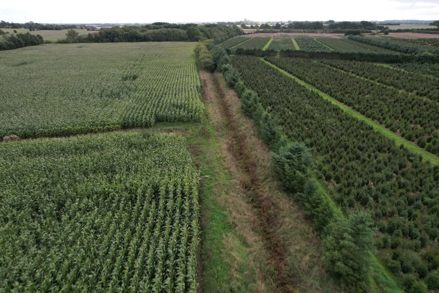 Vandløbskorridor mellem dyrkede marker, set fra drone ved efterflyvning