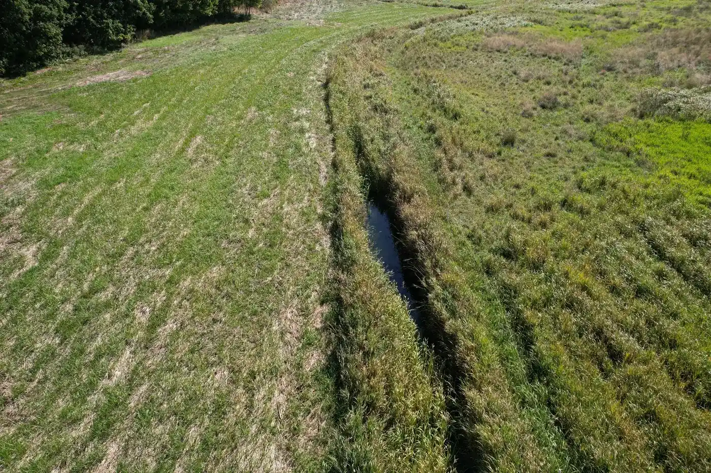Vandløb med åbne vandflader og bevoksning, set fra drone