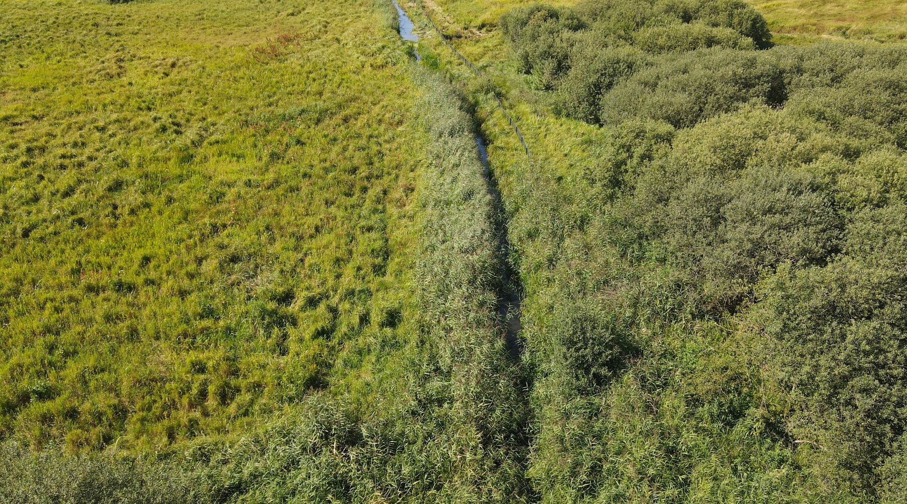Drone-luftfoto af vådområde og krat — eksempel på naturkilde, der struktureres i GoFreyra